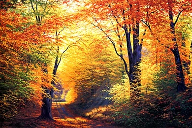 Fall Season Wallpapers Desktop Hd