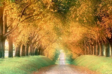 Autumn Wallpapers 058, Free Desktop Wallpapers, Cool Wallpapers