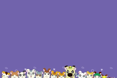 Index Of /modules/Wallpapers/gallery/wall800/japoneses/hamtaro