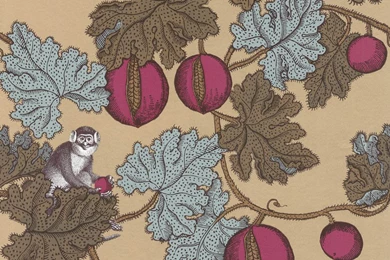Frutto Proibito Wallpapers By Cole & Son