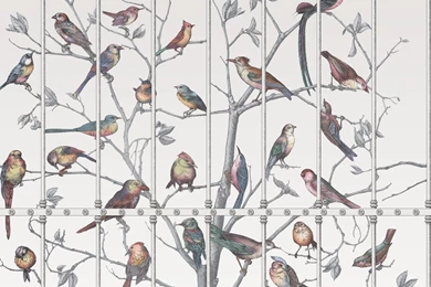 Fornasetti Uccelli Wallpapers