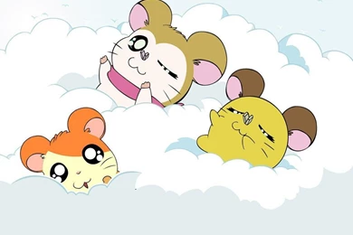 HAMTARO WALLPAPER   (