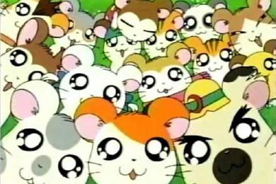 Hamtaro