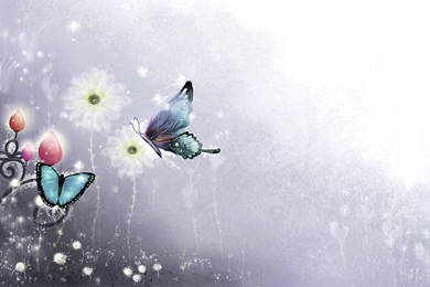 Wallpapers Butterfly