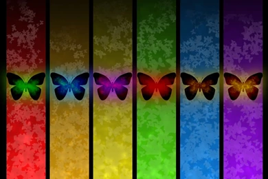 Free Butterfly Screensavers And Wallpapers
