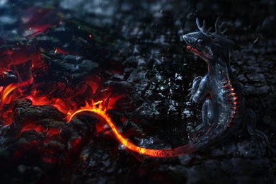 Wallpapers Lava Little Dragon 1920 X 1200 Fantasy Fairy Dragon ...
