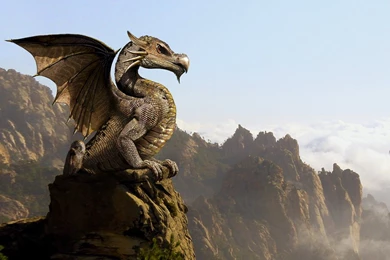 Little Dragon Wallpapers From Dragons Wallpapers