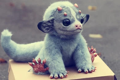 2560x1440 My Little Dragon, Box, Dragon, By Santani Wallpapers And ...