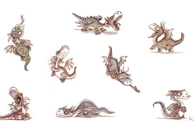 Download Little Dragons Wallpapers 1440x900