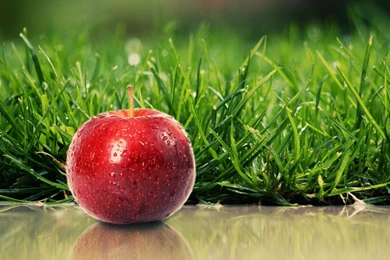 Health Hd Wallpaper, High Resolution Wallpapers