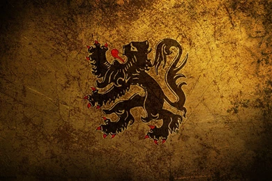 Lion Hd Wallpapers 235