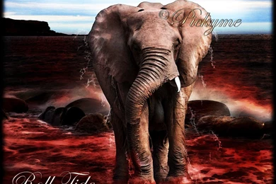 Roll Tide Backgrounds   Wallpapers Zone