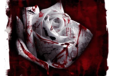 Wallpapers Goth Fairies And Vampires 1024x768