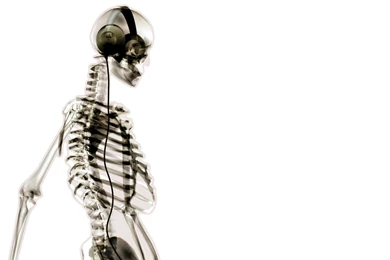 Download Skeleton Wallpapers 240x320