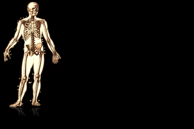 Skeleton Wallpapers   Wallpapers Cave