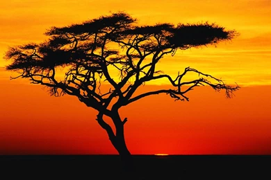 Desert Sunset Wallpapers Widescreen   Kemecer.com