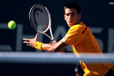 Fonds D'écran Novak Djokovic : Tous Les Wallpapers Novak Djokovic