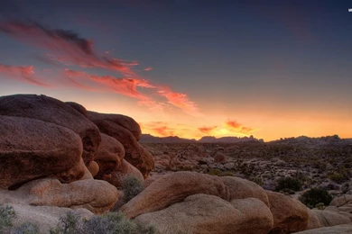 1920x1080 Desert Rocks Plant Pink Sunset Desktop PC And Mac Wallpapers