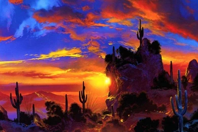 Sunset In Desert   (