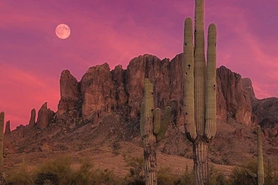 Stunning Pink Desert Sunset Free Desktop Backgrounds And Wallpapers