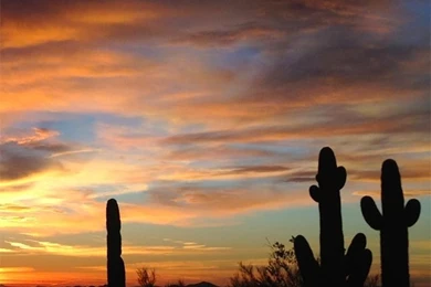 Desert Sunset iPhone 5 Wallpapers (640x1136)