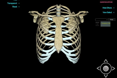 App Shopper: 3D Human Skeleton Rip_HD (Medical)