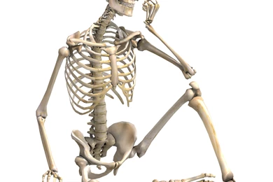 How Well Do You Know Your Own Body?