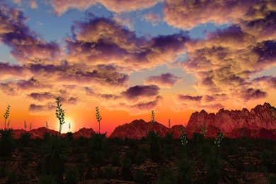 Desert Sunset Wallpapers Full HD With HD Wallpapers   Kemecer.com