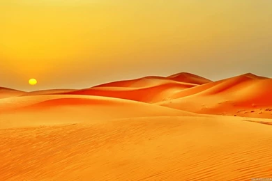 Fascinating Scenes Of Desert Wallpapers