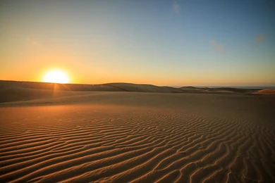 Desert Sunset Sunlight Wallpapers