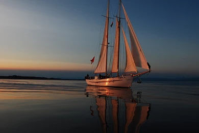 Download Desktop Wallpapers Sailfish