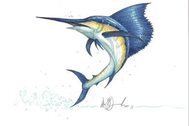 Sailfish_jumping – Sky HD Wallpapers