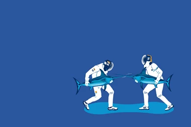 Download The Swordfish Fencing Wallpaper, Swordfish Fencing iPhone ...
