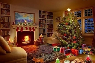 Christmas themed photography19