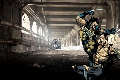 Wolverine VS Namor And The Silver Surfer Coming By GBMpersonal On ...