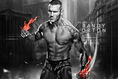 Randy Orton HD Wallpapers For Desktop   HD Wallpapers Inx
