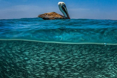 Stunning Photos Show Natural Beauty Both Above And Below The ...