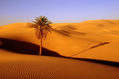 Desert Wallpapers   Uwallo
