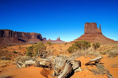 Nature Wallpaper: Desert Widescreen Wallpapers Phone HD Quality ...