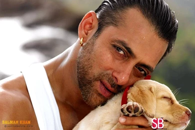 Salman Khan Wallpapers
