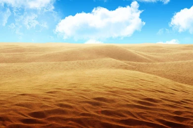 Nature Wallpaper: Desert Widescreen Wallpapers HD Resolution ...