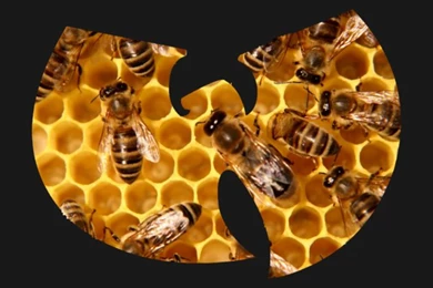Download Wu Tang Killer Bees Wallpaper Images ...