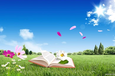 Free Wallpapers   Free Nature Wallpapers   Dream Homes 2 Wallpapers ...