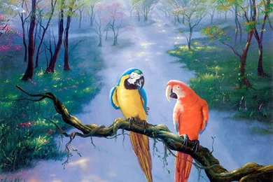Parrot Wallpapers 3D