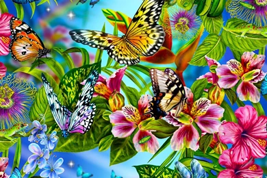 Beautiful Butterfly Wallpapers.jpg