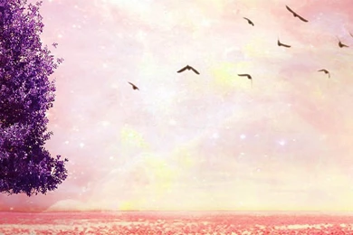 Dreamy iPhone 5s Wallpapers