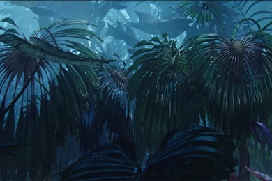 Avatar HD Wallpapers 11 By Ihateyouare On DeviantArt