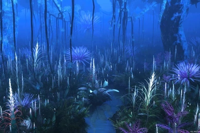 Avatar Fan Film Forest Vegetation Test2 By Massi San On DeviantArt