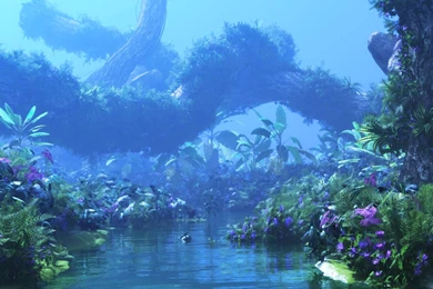 Avatar Fan Film Forest Vegetation Test 1 By Massi San On DeviantArt