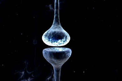 Neuroscience Wallpapers